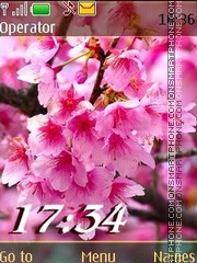 Spring flowering12 swf theme screenshot