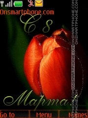 Tulip theme screenshot