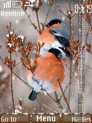 Bullfinches in winter theme screenshot
