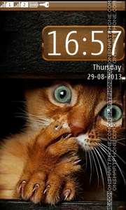 Red kitten theme screenshot