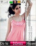 Asin 04 theme screenshot