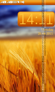 Nice Field theme screenshot