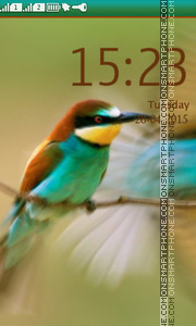 Humming Bird theme screenshot