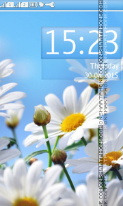 Daisies theme screenshot