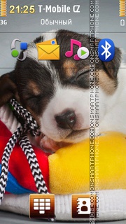 Cute Sleepy Puppy theme screenshot