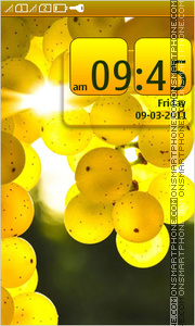 Grapes 02 theme screenshot