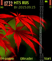 Red Leaves theme screenshot
