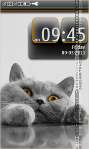 Fluffy Sat theme screenshot