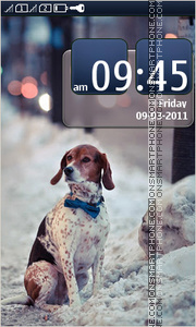 Dog on the street theme screenshot