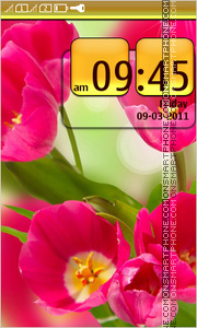 Flowers for the ladies theme screenshot