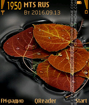 Leaves theme screenshot