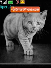 Cat theme screenshot