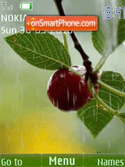 Raindrops on the cherry(swf 2.0) theme screenshot