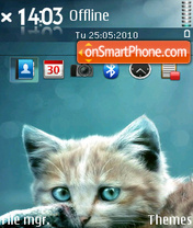 Cat 15 theme screenshot