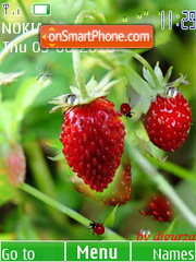 Wild straweberry(swf 2.0) by djgurza theme screenshot