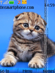 Cats theme screenshot